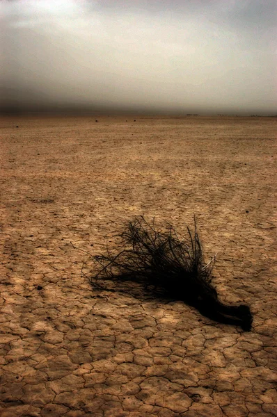 Grande campo di terra cotta dopo una lunga siccità — Foto Stock