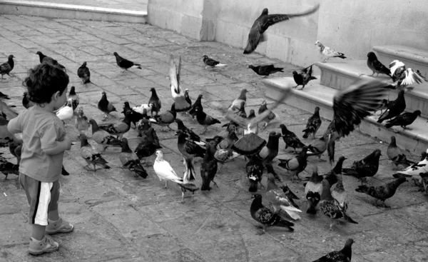 아이 도시 거리에서 비둘기와 함께 연주 — 스톡 사진