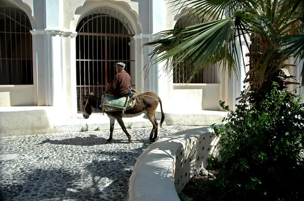 stock image Man on the mule, transportation backpack.