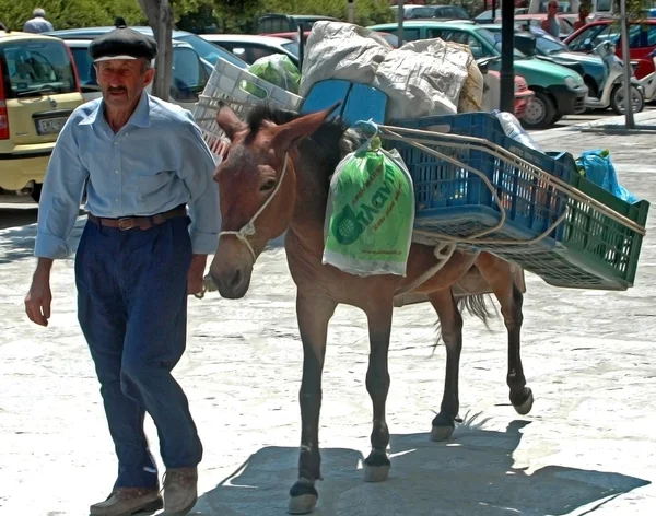 Man op de mule, vervoer rugzak. — Stockfoto