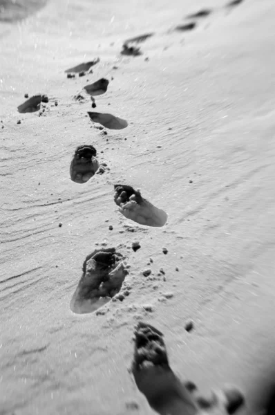 Кроки на снігу — стокове фото