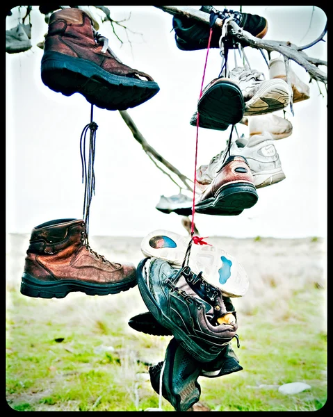 Sapatos. — Fotografia de Stock
