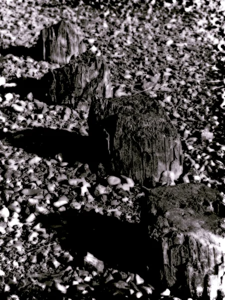 Kieselsteine auf einem Strand — Stockfoto