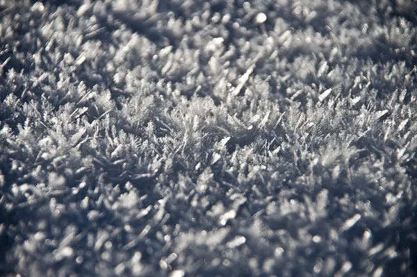 stock image Snow texture