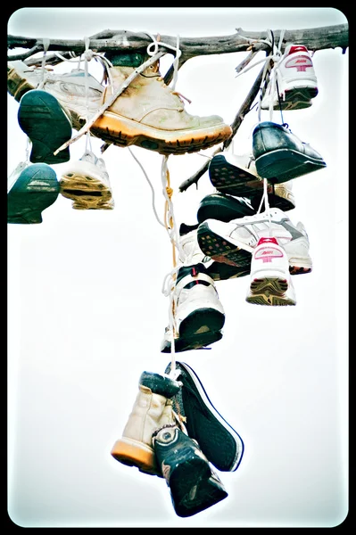 Ugg und Sneaker auf dem Ast — Stockfoto