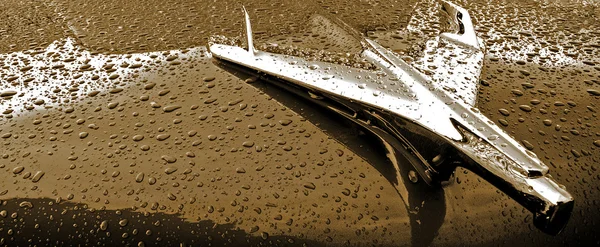 물 방울과 자동차 후드 스톡 사진
