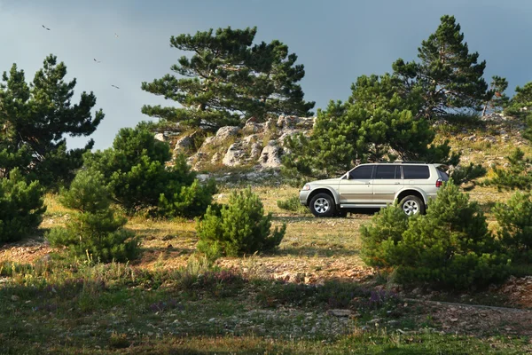 stock image Offroading in an Suv / 4x4