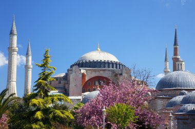 Hagia Sophia in Istanbul, Turkey clipart