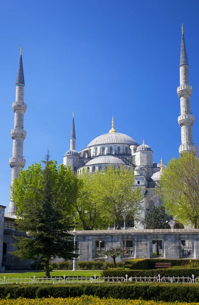 Moschea blu / Istanbul, Turchia — Foto Stock