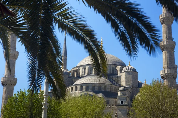 蓝色清真寺 / 土耳其伊斯坦布尔 — 图库照片