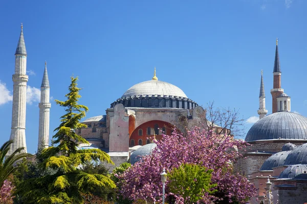 Hagia Sophia a Istanbul, Turchia — Foto Stock