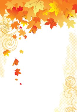 Autumn Background / gold leaves on white background