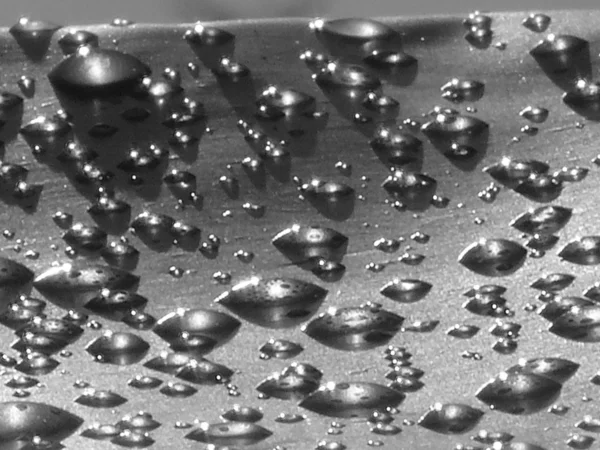 Vatten droppar på en transparent film Stockbild