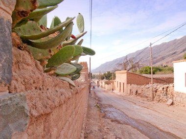 Peyzaj jujuy, Arjantin