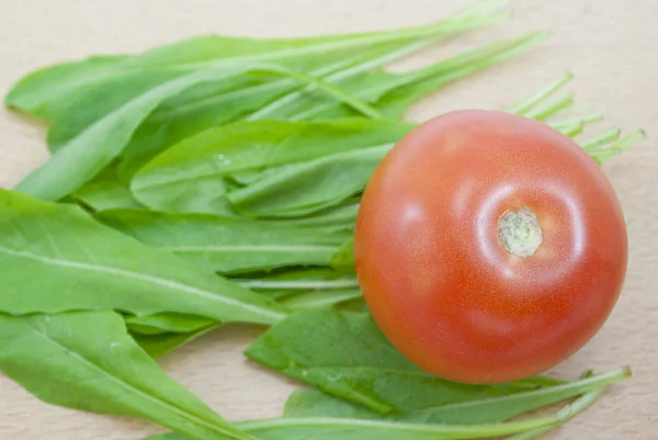 Tomatoes and arugula — Stock Photo, Image