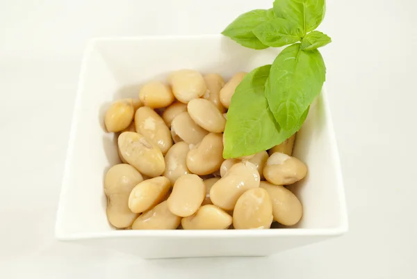 Beans and basil leaves — Stock Photo, Image