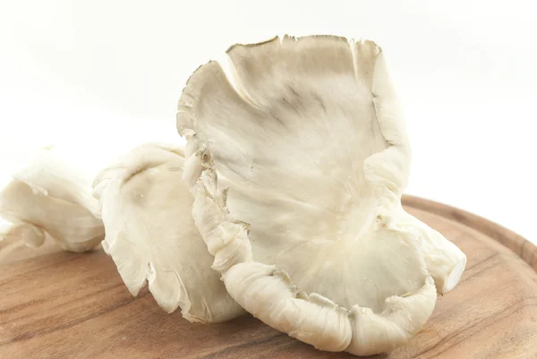 Shiitake mushrooms — Stock Photo, Image