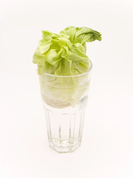 Glass with lettuce — Stock Photo, Image