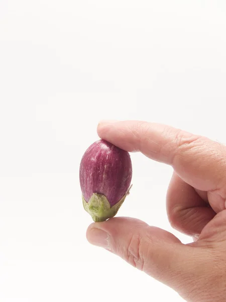 Bebek patlıcan — Stok fotoğraf