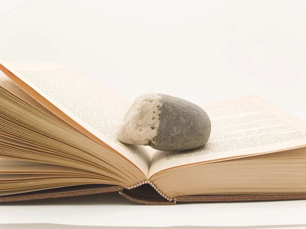 Kamień książki — Zdjęcie stockowe