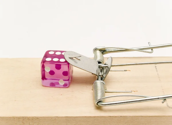 Mousetrap and given — Stock Photo, Image