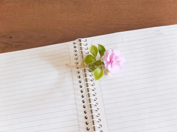 Notebook a květina — Stock fotografie