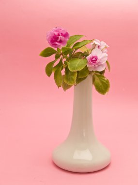 Vase with wildflowers clipart