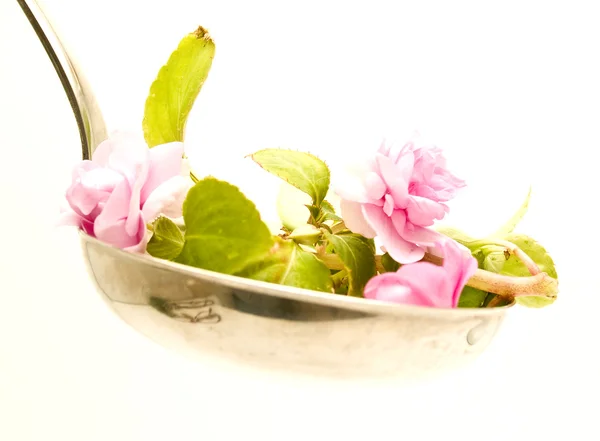 Naběračka polévky s květinami — Stock fotografie