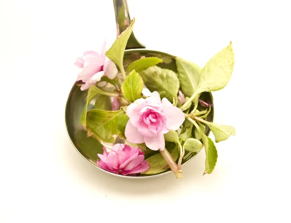 Naběračka polévky s květinami — Stock fotografie