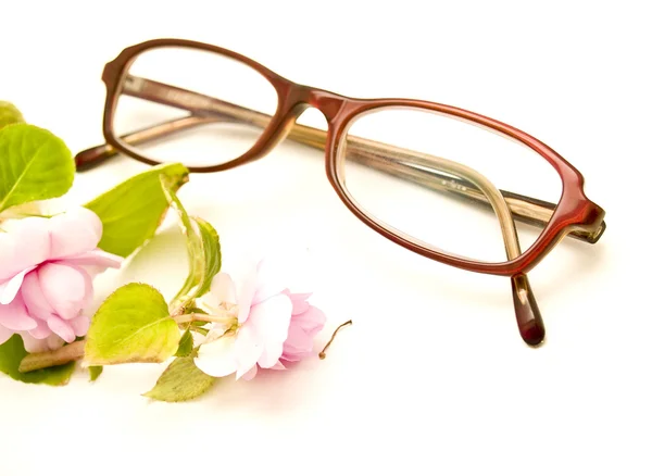 Flores silvestres y gafas — Foto de Stock