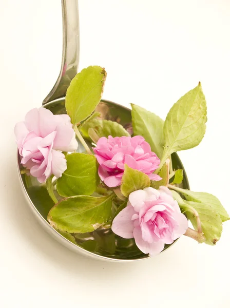Ladle soup with flowers — Stock Photo, Image