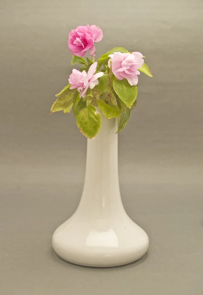 Vaas met wilde bloemen — Stockfoto