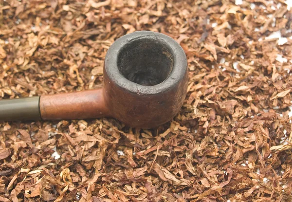 Tabaco y pipa — Foto de Stock