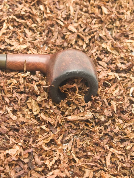 Tabaco y pipa — Foto de Stock