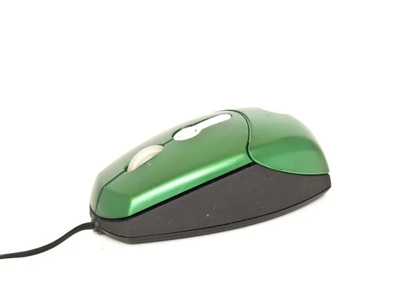 Mouse green — Stock Photo, Image