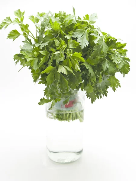 Bottle with parsley — Stock Photo, Image