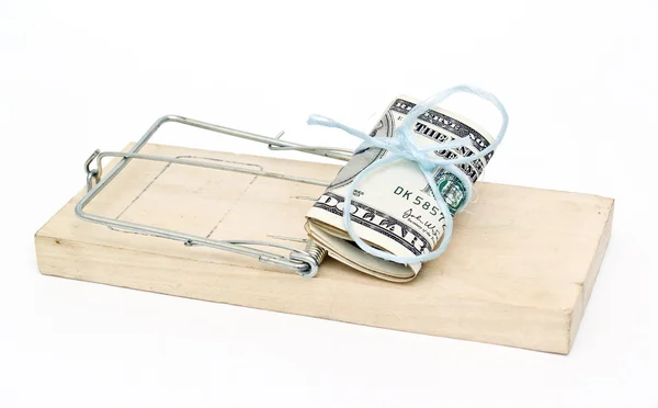 Mouse trap with dollars — Stock Photo, Image