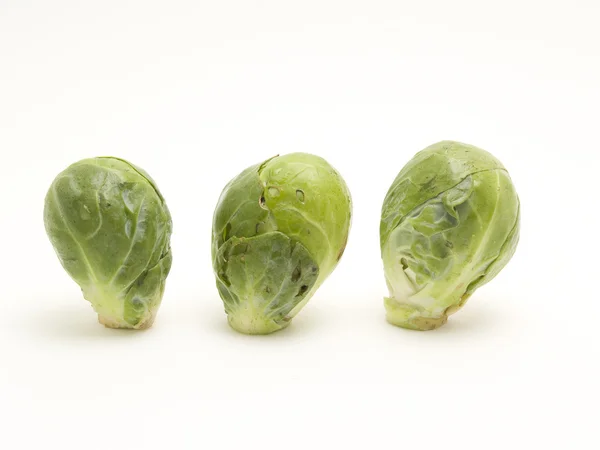 布鲁塞尔 cabbages — 图库照片