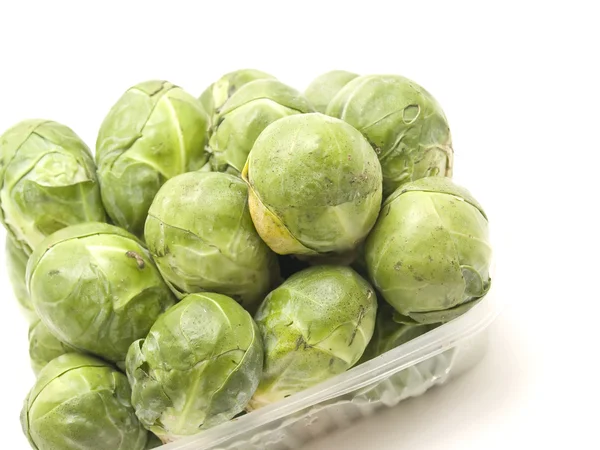 Cabbages of Brussels — Stock Photo, Image