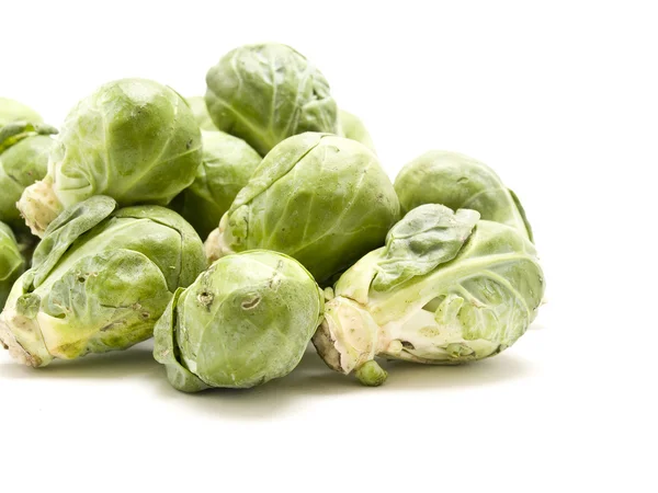 Cabbages of Brussels — Stock Photo, Image