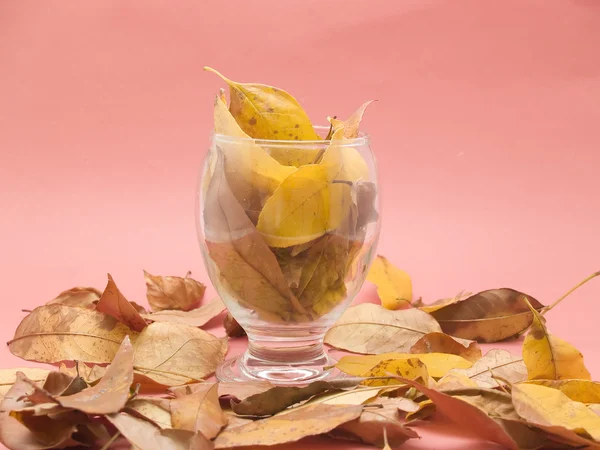 Glass with dry leaves — Stock Photo, Image