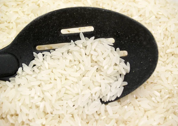 Kanál rizs — Stock Fotó