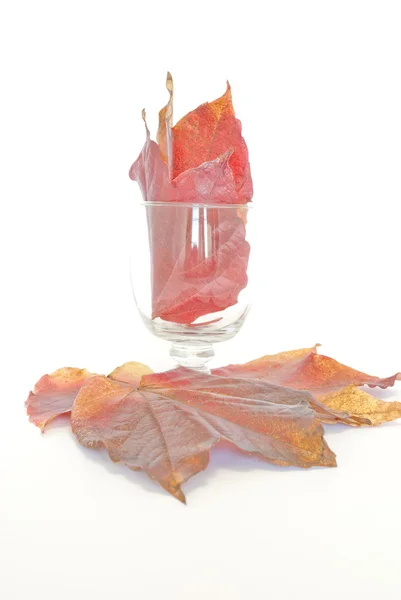 Glass with grape leaves — Stock Photo, Image