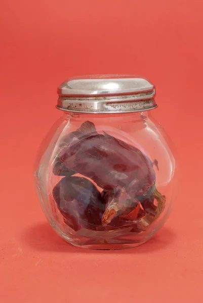 Бутылка перца — стоковое фото
