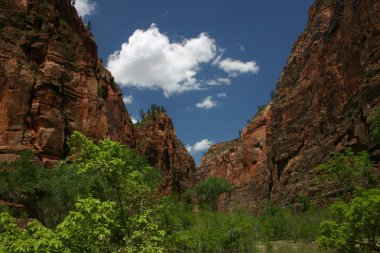 Zion national park