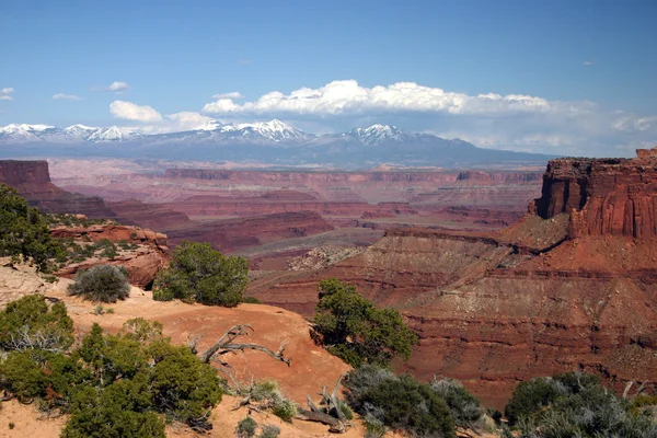 Canyonlands