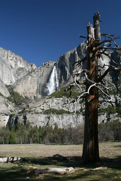 Yosemite Falls — Stok fotoğraf