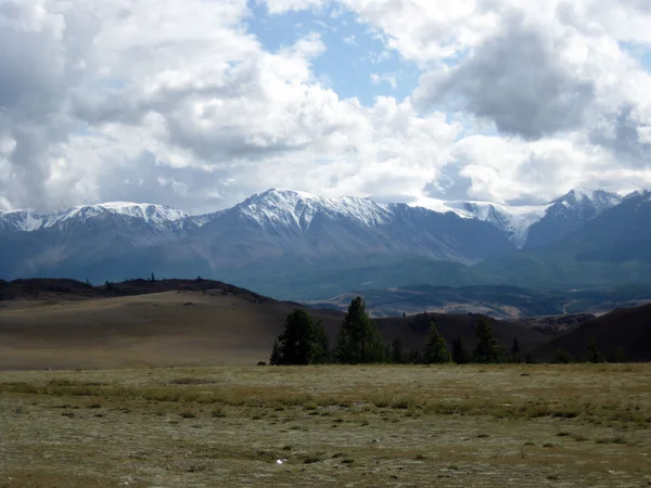 stock image Kurajsky steppe