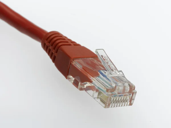 Netzwerk-Kabel — Stok fotoğraf