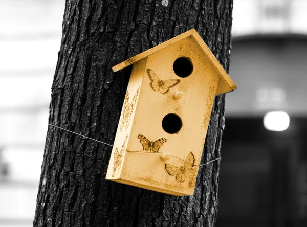 Sommerfuglens hus – stockfoto